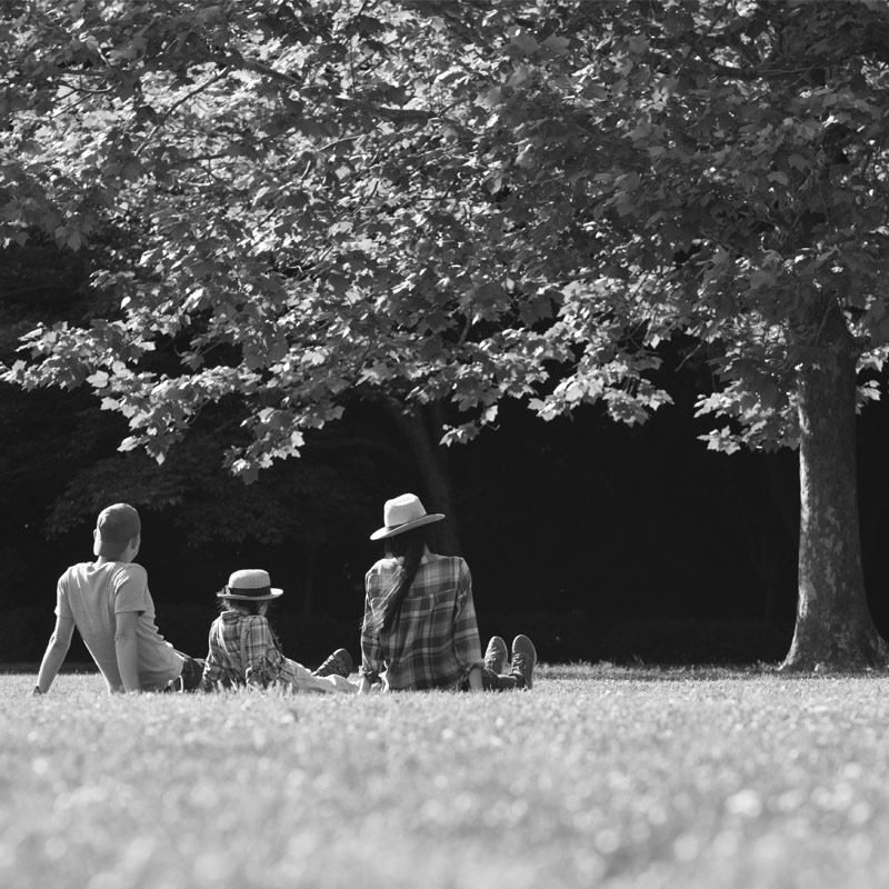 Young Family under a Tree